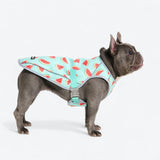 Dog Cooling Vest - Watermelon