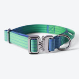 Comfort Control Collar Set - Lime Wave