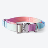Comfort Control Collar - Pastel Icing
