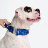 Comfort Control Collar Set - Blue Camo