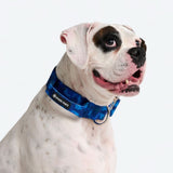 Comfort Control Collar Set - Blue Camo