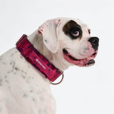Fuchsia Camo Collar