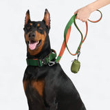 Comfort Control Collar Set - Green Orange