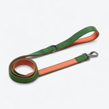 Comfort Control Collar Set - Green Orange