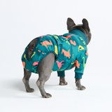 Dinosaurs Surgical Suit||size:S,M,2XL,3XL,4XL,5XL