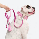 Pink Neoprene Leash