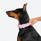 Comfort Control Collar - Pink