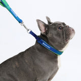 Lime Wave Martingale Collar||size:A,B