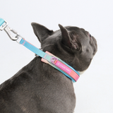 Pastel Icing Collar||size:A,B