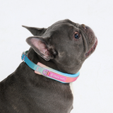 Pastel Icing Collar||size:A,B