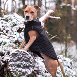 size:S,M,L,XL,2XL,3XL,4XL