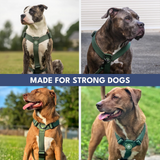 90s Retro Harness||size:S,M,L