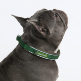 Green Collar||size:A,B