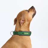 Green Martingale Collar||size:C,D,E