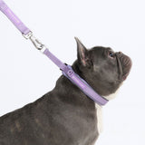 Lilac Martingale Collar||size:A,B