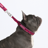 Fuchsia Camo Collar||size:A,B
