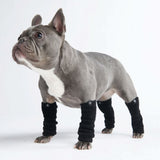 Leg Warmer and Earmuff Protector Set - Black