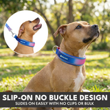 Snow Cone Martingale Collar||size:C,D,E