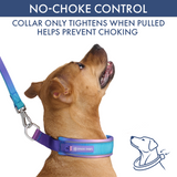 90s Retro Martingale Collar||size:C,D,E