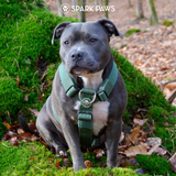 Green Harness||size:S,M,L