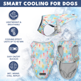 Popsicle Cooling Vest||size:S,M,L,XL,2XL,3XL,4XL
