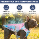 Snow cone Cooling Vest||size:S,M,L,XL,2XL,3XL,4XL