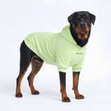 Essential Honey Dew Hoodie||size:4XL,5XL