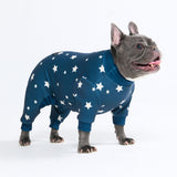 Dog Pajama - Stars