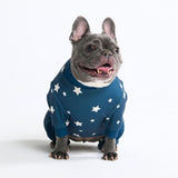 Dog Pajama - Stars