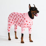 Dog Pajama - Pink Hearts