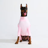 Dog Pajama - Pink Stripes