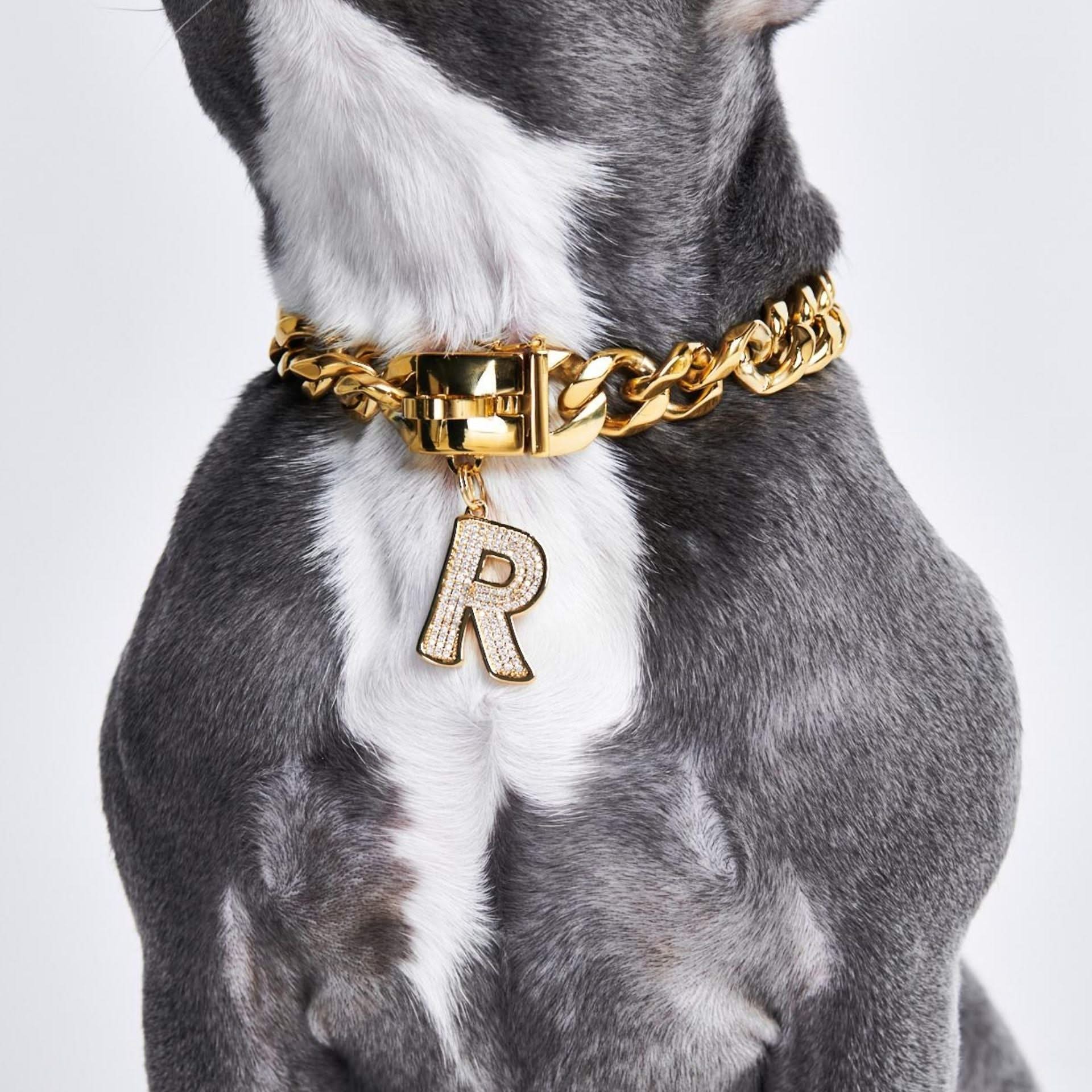 Dog name chain collar cheap