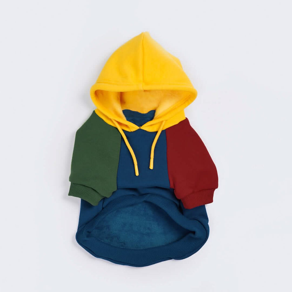 Agora colour block hoodie online