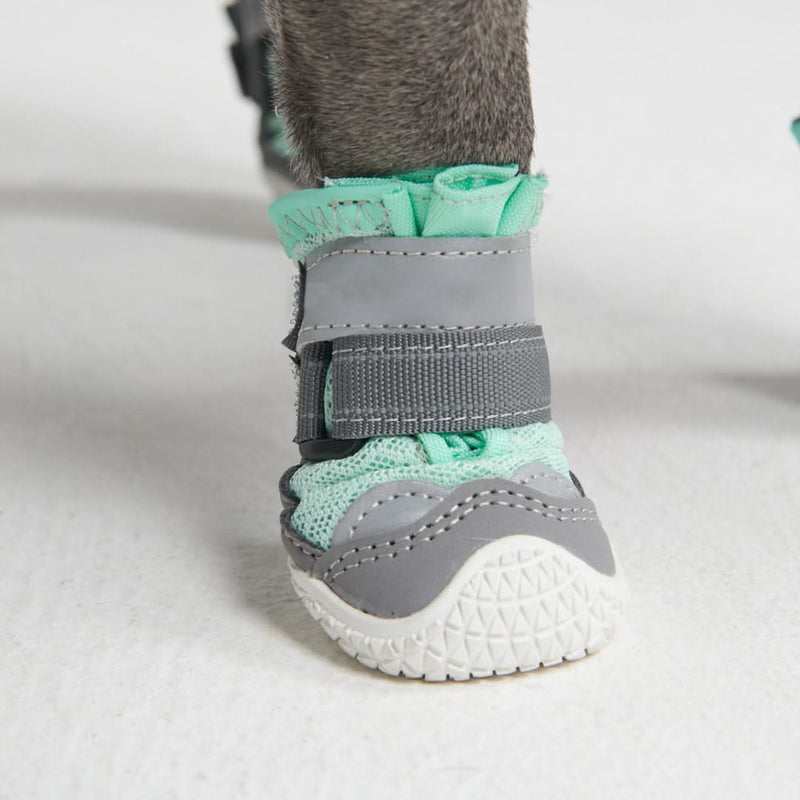 Best dog boots for hot pavement sale