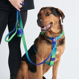 Lime Wave Harness