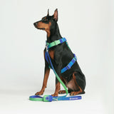 Lime Wave Harness