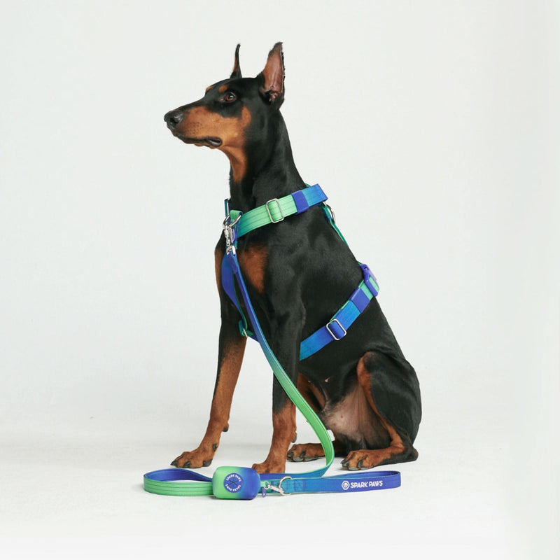 Lime Wave Harness