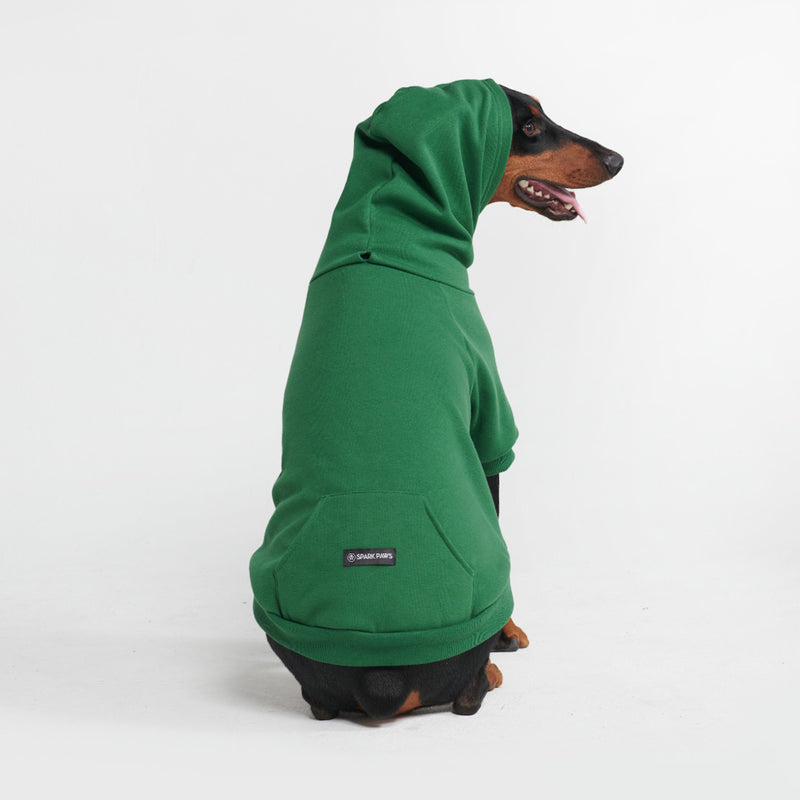 Essential Dog Hoodie - Cobalt Green