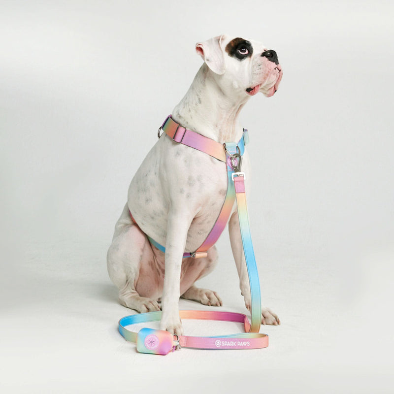 Pastel Icing Harness