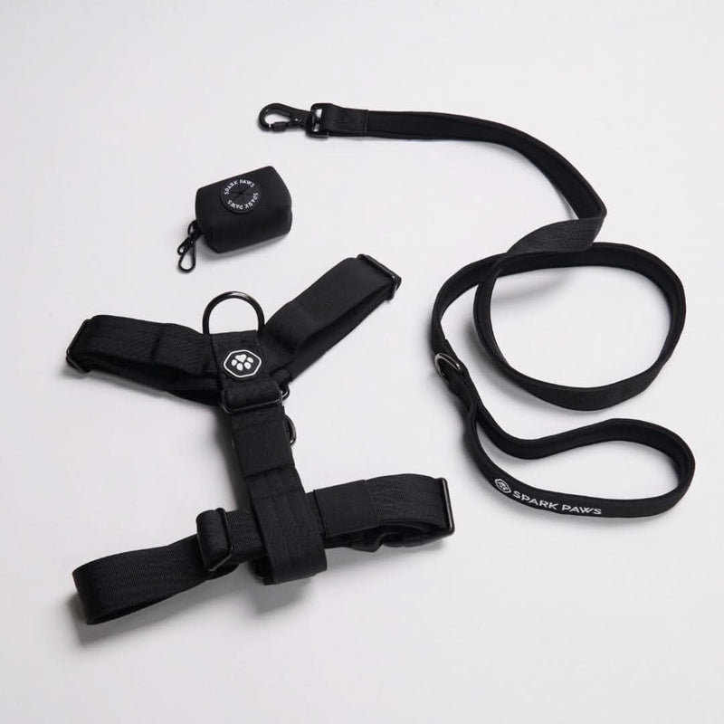 Black Harness