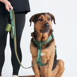 Green Harness