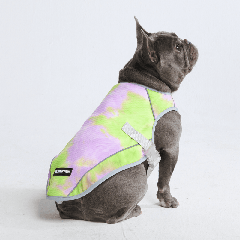Dog cool vest uk store