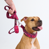 Fuchsia Camo Martingale Collar||size:C,D,E
