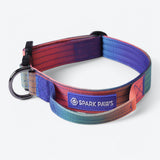Comfort Control Collar - Kaleidoscope
