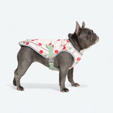 Dog Cooling Vest - Cherries