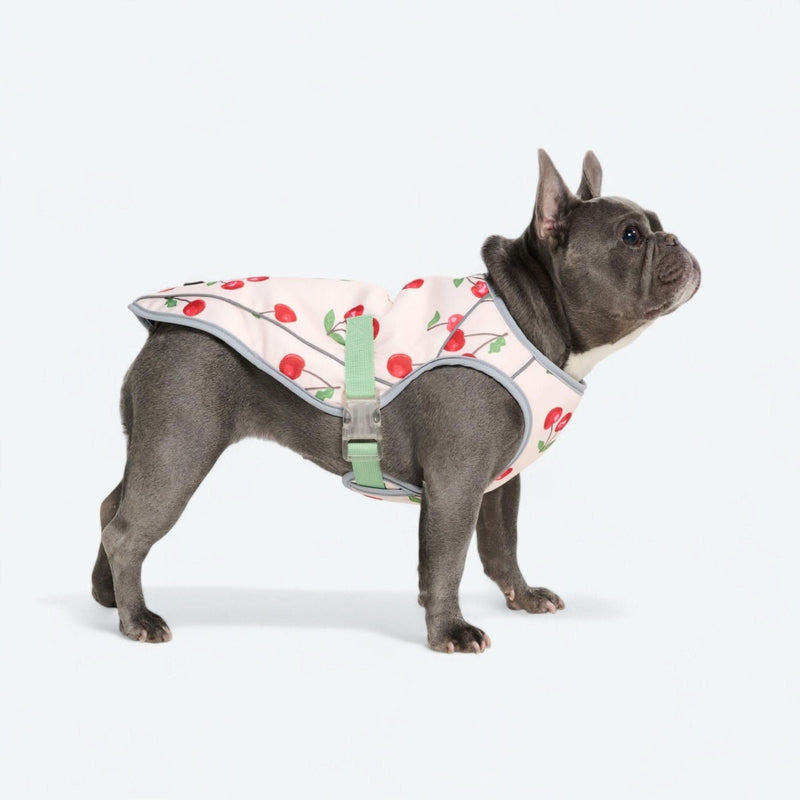 Dog Cooling Vest - Cherries