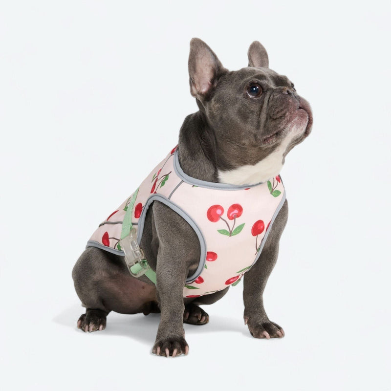 Dog Cooling Vest - Cherries