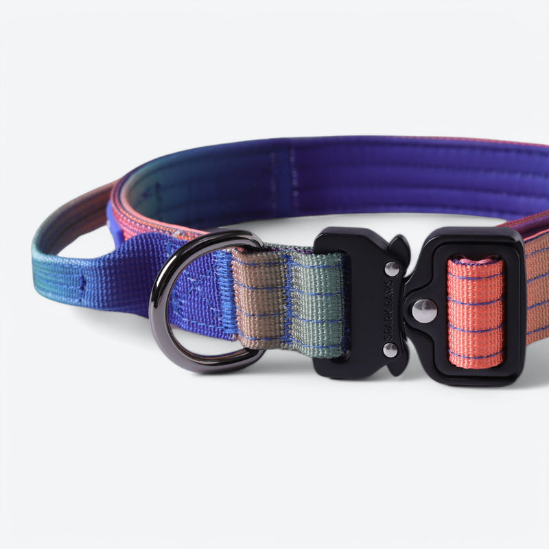 Comfort Control Collar - Kaleidoscope
