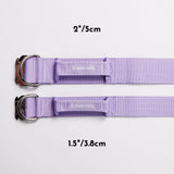 Comfort Control Collar Set - Lilac