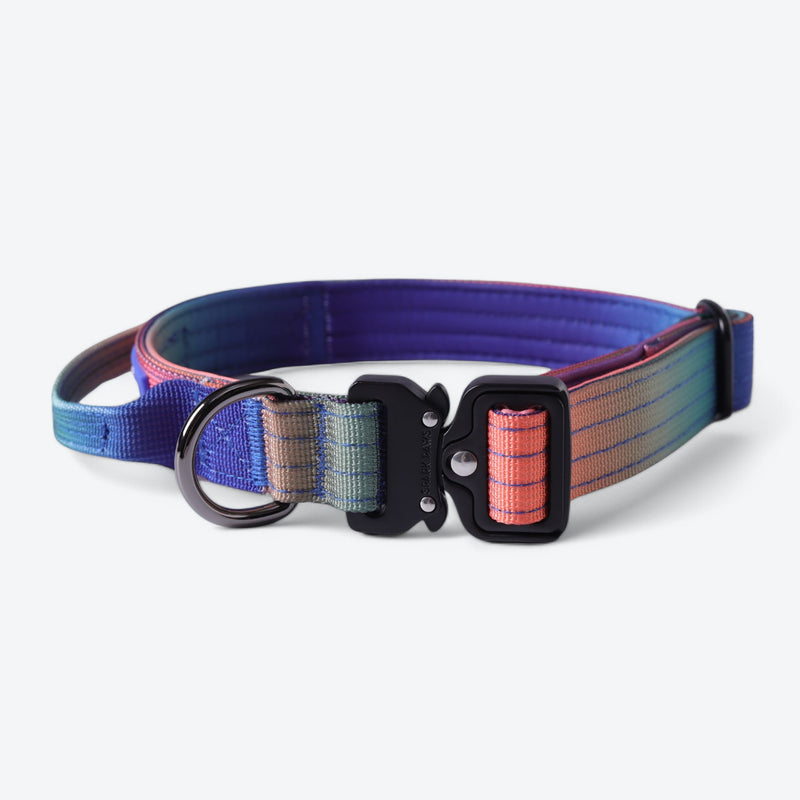 Comfort Control Collar - Kaleidoscope